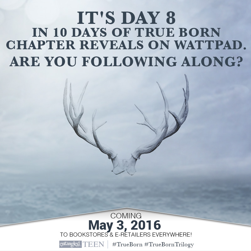 Day 8 in Dominion&nbsp;City