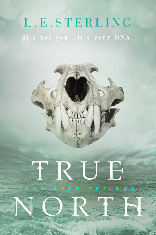 Sneak Peek at True North – Coming to stores on April 4,&nbsp;2017!
